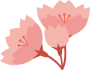 桜アイコン